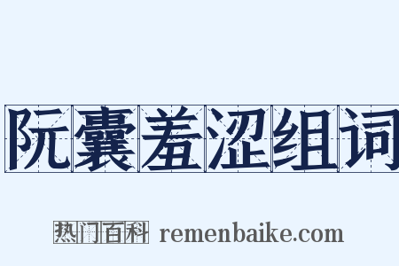 阮囊羞涩组词是什么意思的图片